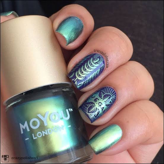 Moyou - Croco Spark