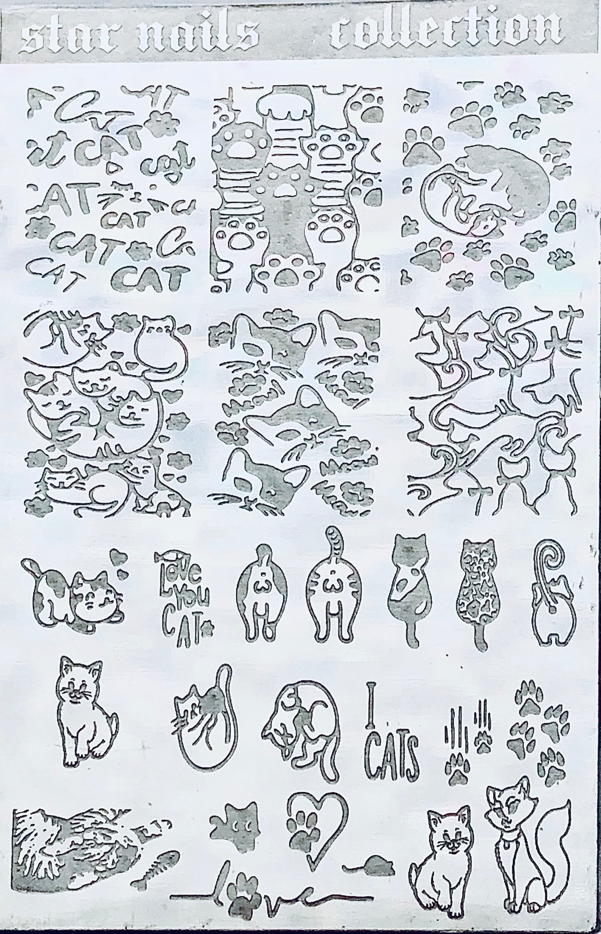 Cats