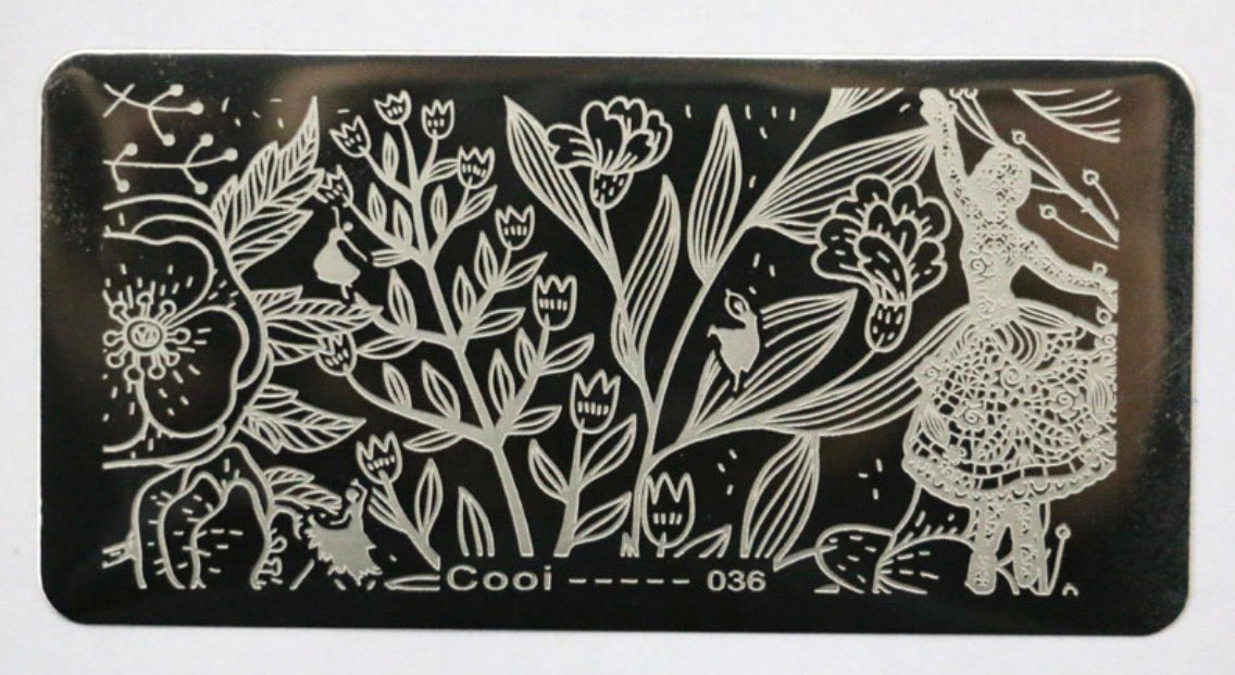 Cooi 36